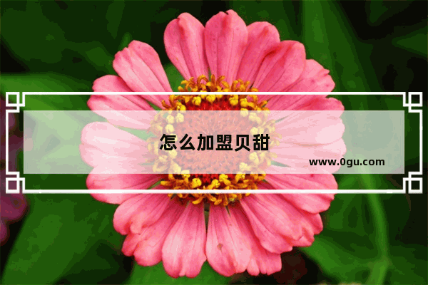 怎么加盟贝甜