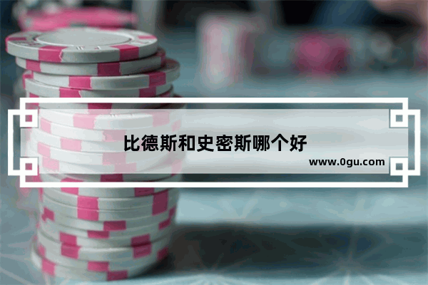 比德斯和史密斯哪个好