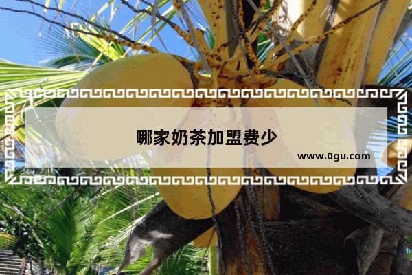 哪家奶茶加盟费少