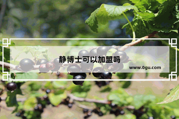 静博士可以加盟吗