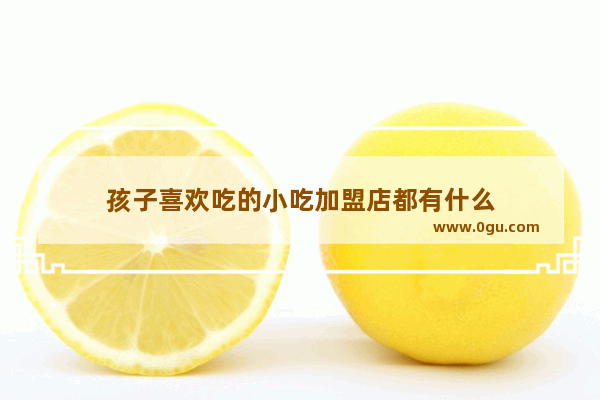 孩子喜欢吃的小吃加盟店都有什么