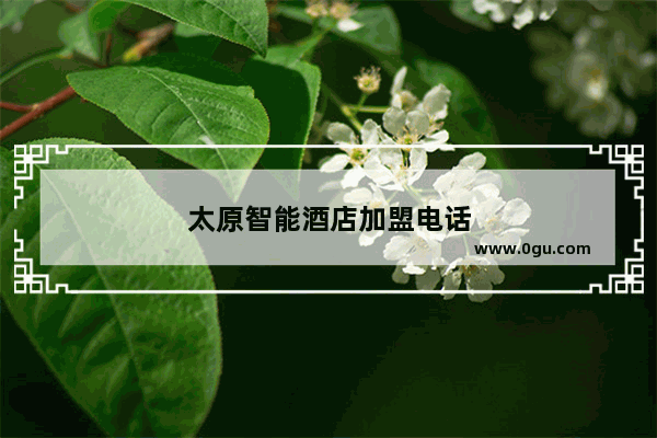 太原智能酒店加盟电话