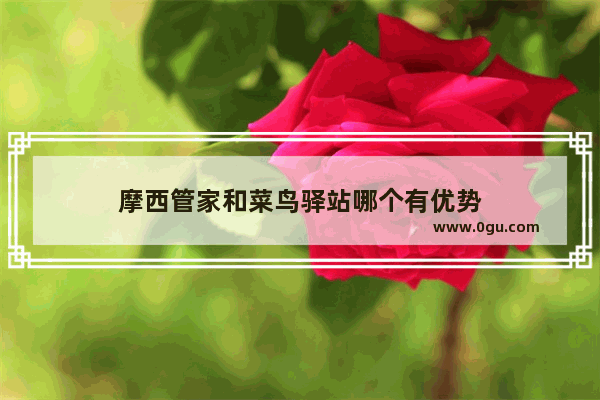 摩西管家和菜鸟驿站哪个有优势