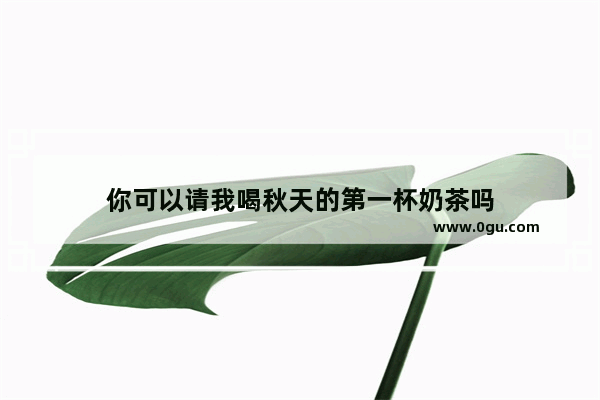 你可以请我喝秋天的第一杯奶茶吗