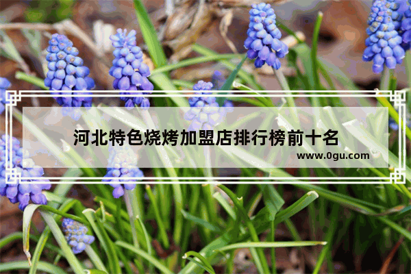 河北特色烧烤加盟店排行榜前十名