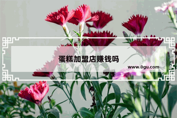 蛋糕加盟店赚钱吗