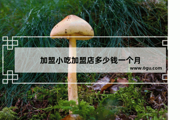 加盟小吃加盟店多少钱一个月