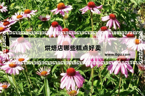 烘焙店哪些糕点好卖