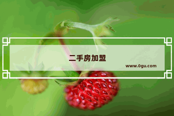 二手房加盟