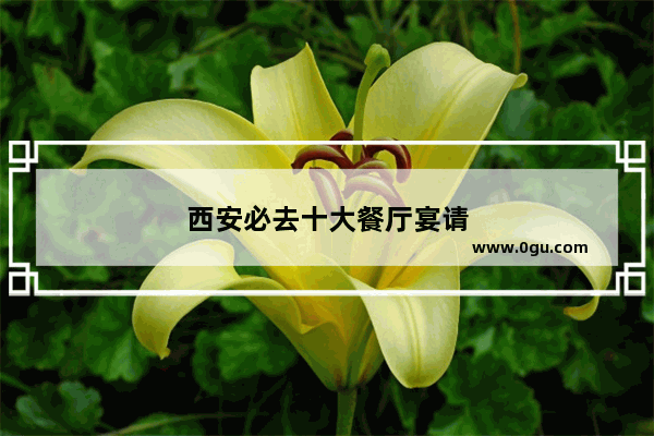 西安必去十大餐厅宴请