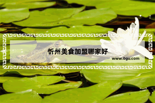 忻州美食加盟哪家好
