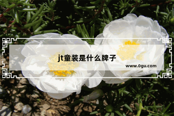 jt童装是什么牌子