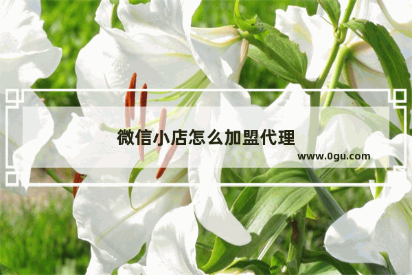 微信小店怎么加盟代理