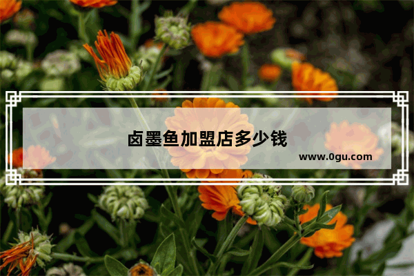 卤墨鱼加盟店多少钱