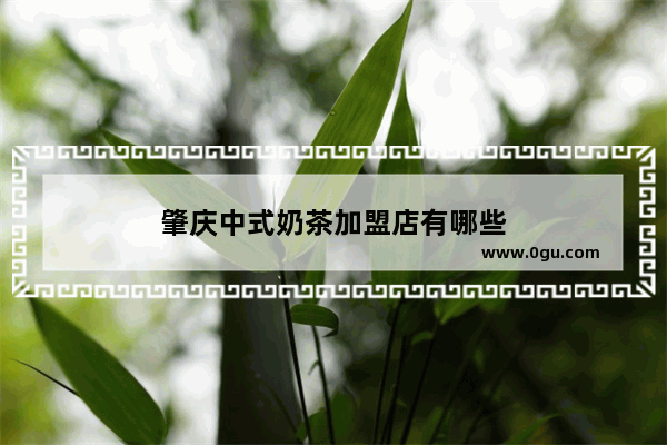 肇庆中式奶茶加盟店有哪些