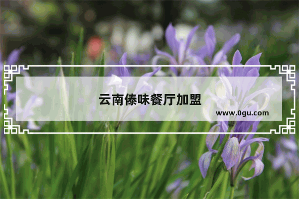 云南傣味餐厅加盟