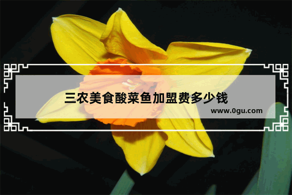 三农美食酸菜鱼加盟费多少钱