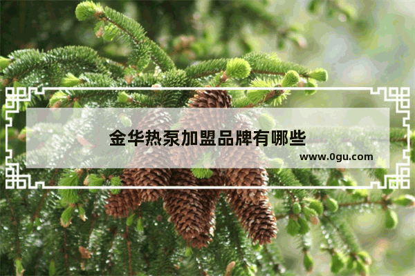 金华热泵加盟品牌有哪些