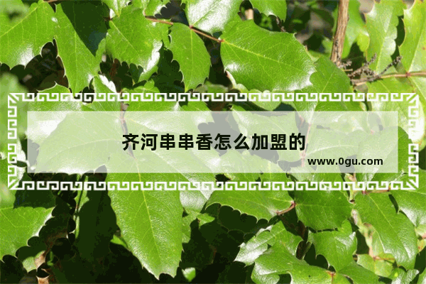 齐河串串香怎么加盟的