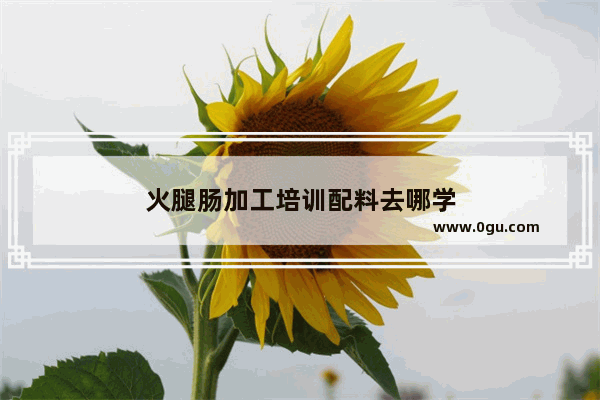 火腿肠加工培训配料去哪学