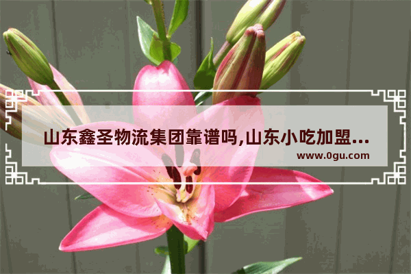 山东鑫圣物流集团靠谱吗,山东小吃加盟店铺排名前十