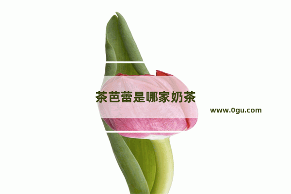 茶芭蕾是哪家奶茶