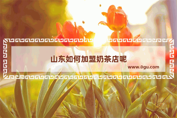 山东如何加盟奶茶店呢