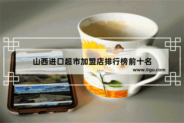 山西进口超市加盟店排行榜前十名