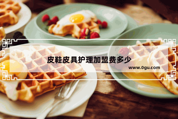 皮鞋皮具护理加盟费多少