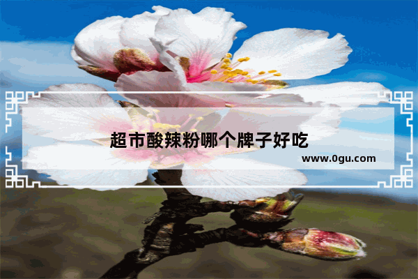 超市酸辣粉哪个牌子好吃