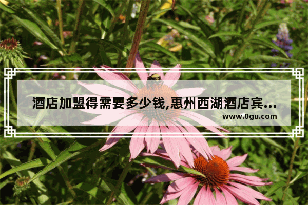 酒店加盟得需要多少钱,惠州西湖酒店宾馆加盟