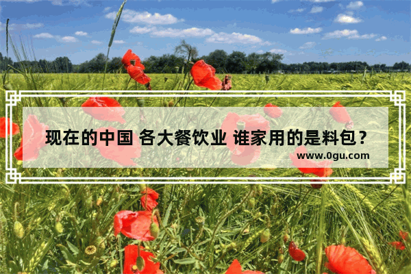 现在的中国 各大餐饮业 谁家用的是料包？你能说出名字吗