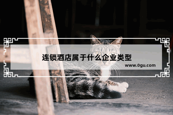 连锁酒店属于什么企业类型