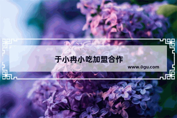 于小冉小吃加盟合作