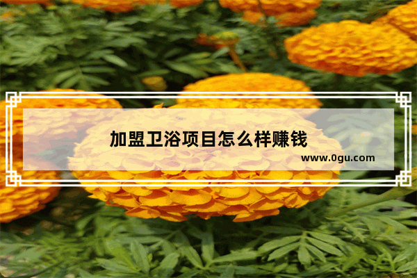 加盟卫浴项目怎么样赚钱
