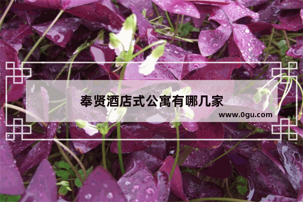 奉贤酒店式公寓有哪几家