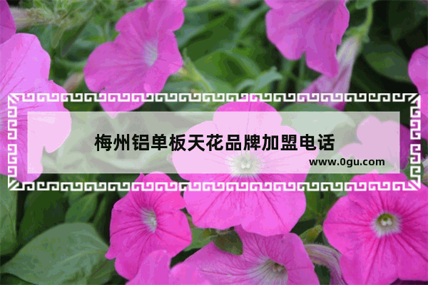 梅州铝单板天花品牌加盟电话
