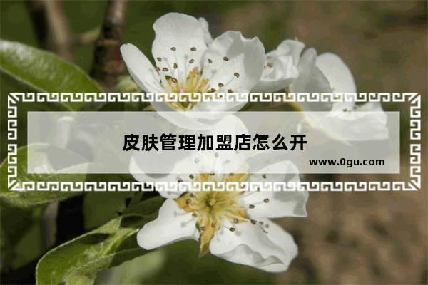 皮肤管理加盟店怎么开