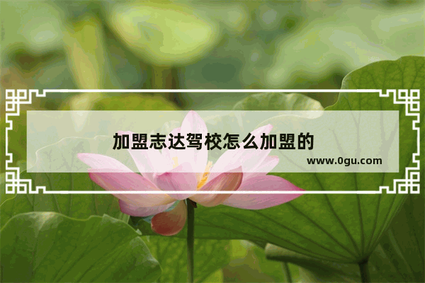 加盟志达驾校怎么加盟的