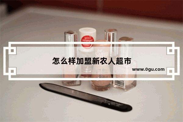 怎么样加盟新农人超市