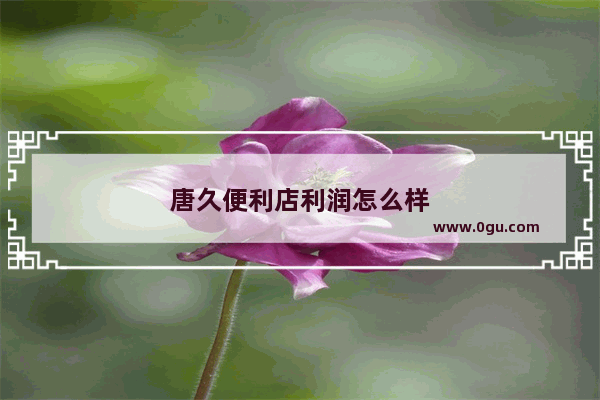 唐久便利店利润怎么样