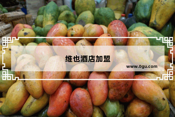 维也酒店加盟