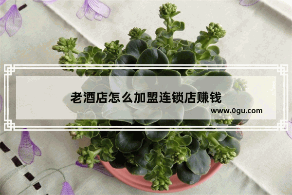 老酒店怎么加盟连锁店赚钱