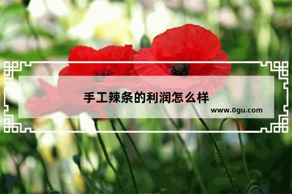 手工辣条的利润怎么样