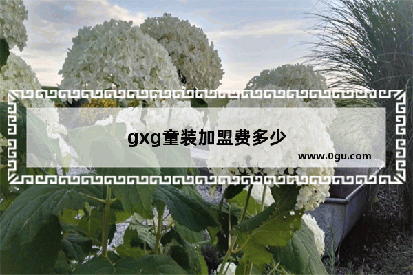 gxg童装加盟费多少