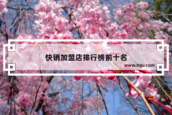 快销加盟店排行榜前十名