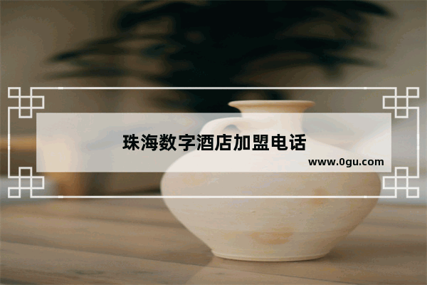 珠海数字酒店加盟电话
