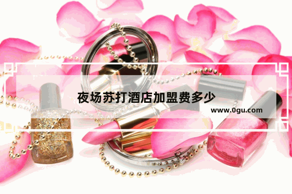 夜场苏打酒店加盟费多少