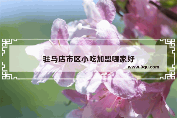 驻马店市区小吃加盟哪家好