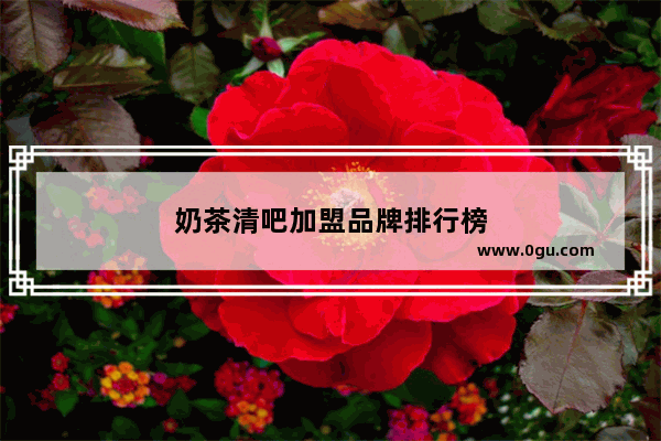 奶茶清吧加盟品牌排行榜